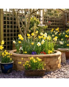 Circular Raised Bed Best Seller / 1.23 x 0.35m