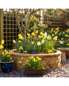 Circular Raised Bed Best Seller / 1.23 x 0.35m