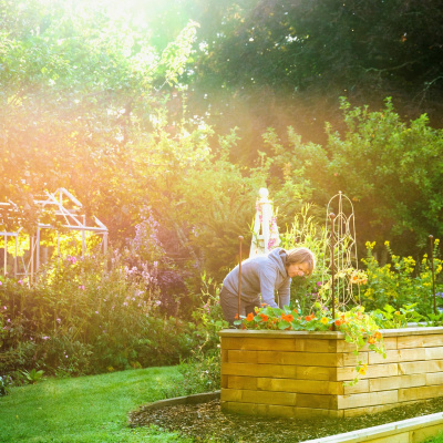 High Raised Bed / 1.875 x 1.125 x 0.65 m