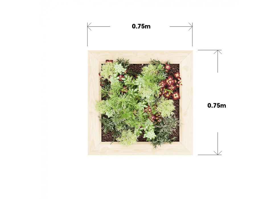 Large Wooden Cubic Garden Planter / 0.75 x 0.75 x 0.75m