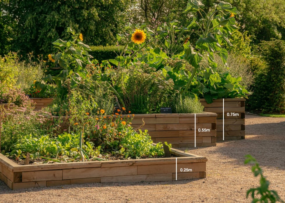 Raised Beds / Design Your Shape & Size