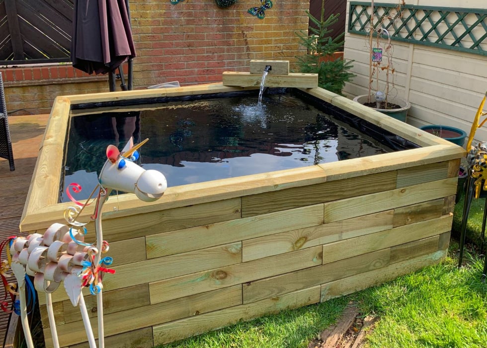Raised Ponds / Design Your Shape & Size