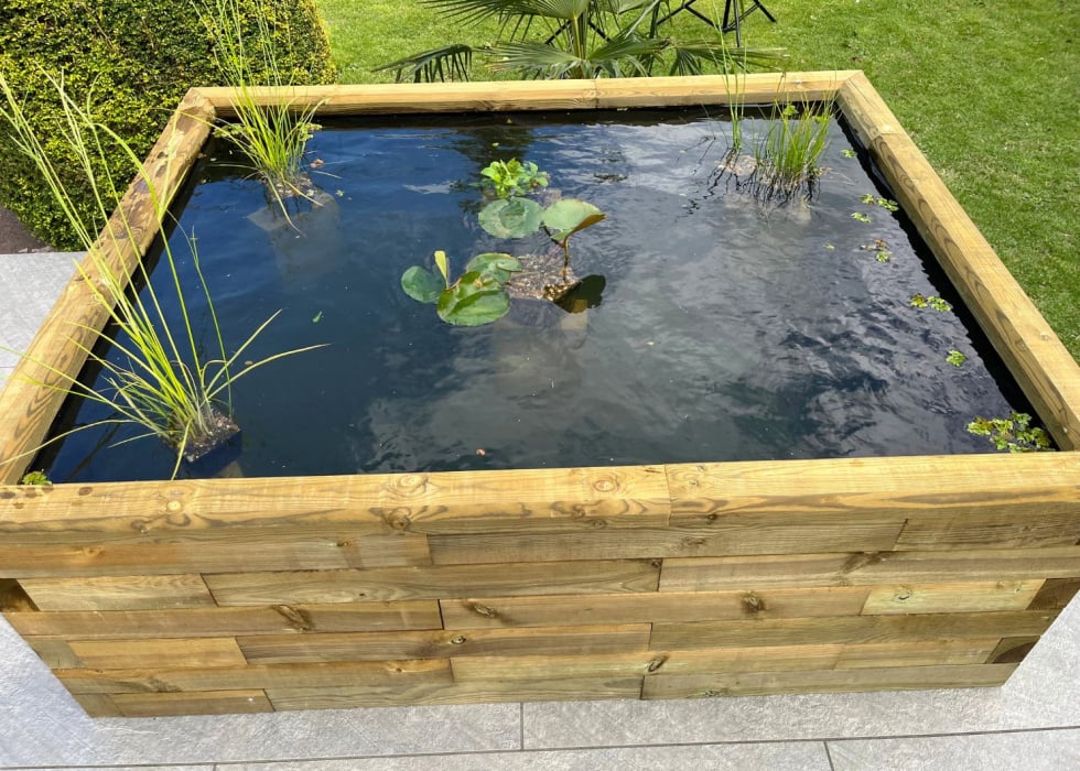 Raised Ponds / Design Your Shape & Size