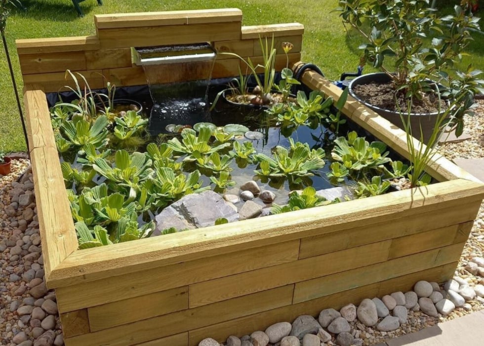 Raised Ponds / Design Your Shape & Size
