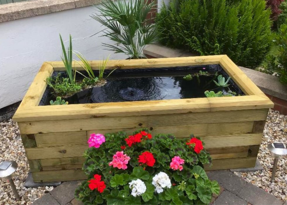 Raised Ponds / Design Your Shape & Size