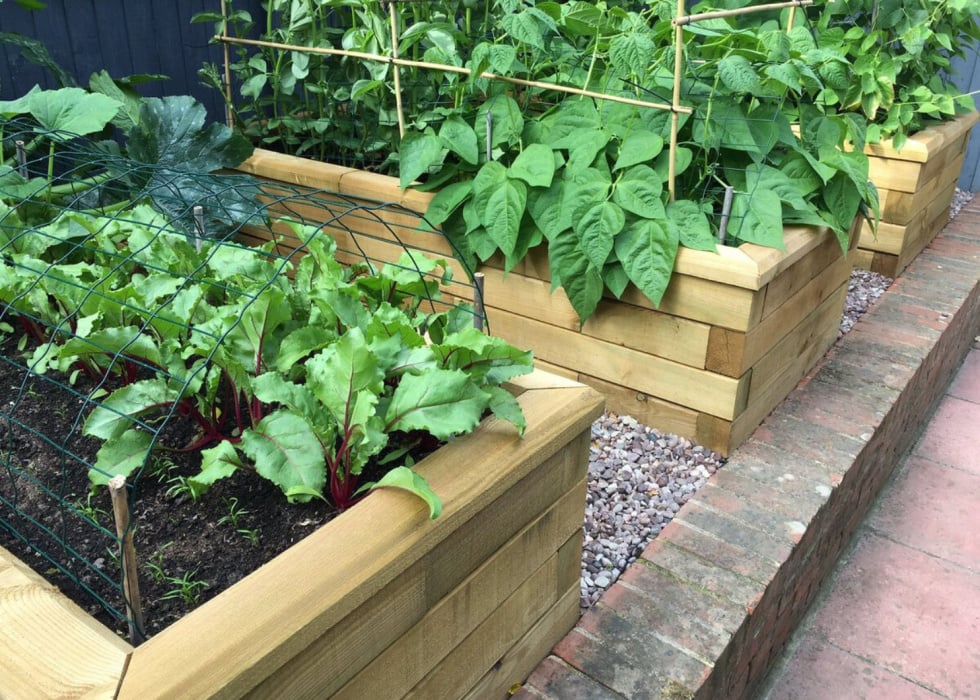 Raised Beds / Design Your Shape & Size