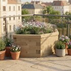 Hexagonal Wildflower Bed / 1.55 x 0.924 x 0.55m