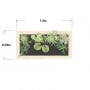 Popular Raised Koi Pond Kit / 1.5 x 0.75 x 0.45m