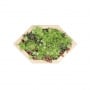 Hexagonal Garden Planter / 1.55 x 0.924 x 0.45m