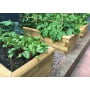 Raised Beds / Design Your Shape & Size