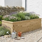 Extra High Long Raised Bed / 3.0 x 1.125 x 0.75 m