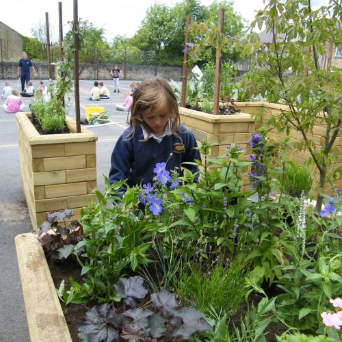 Annfield Plain Junior School bespoke planters with seating
