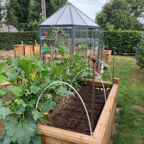 Frederick's WoodBlocX Kitchen Garden