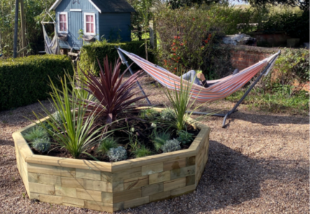 Planting a raised bed garden
