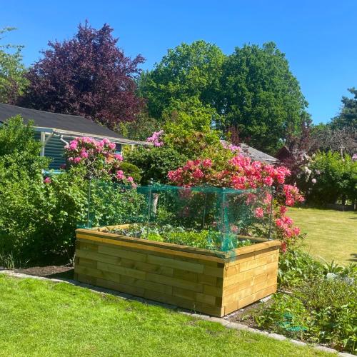 Bernhard's raised vegetable garden