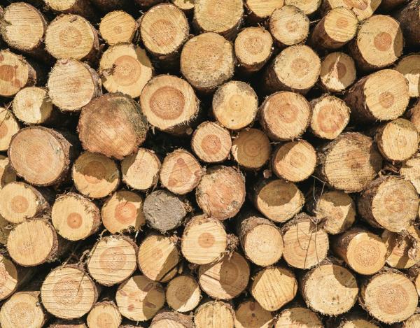 Sustainability of timber garden products