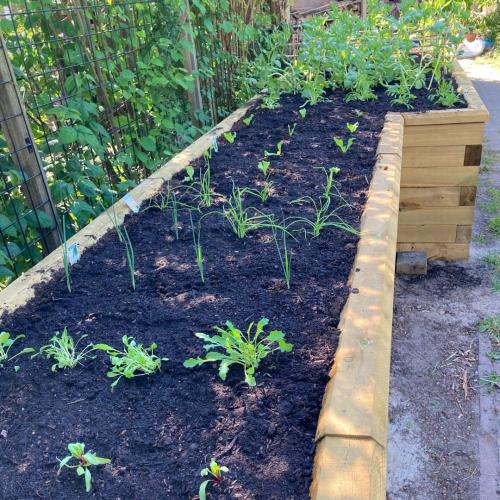 Jeroen’s L-shaped kitchen garden