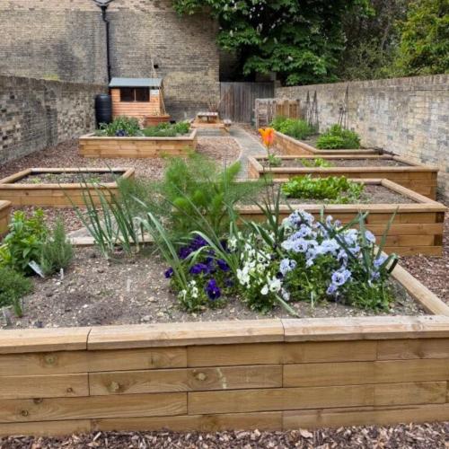 Emmanuel College Cambridge community garden project