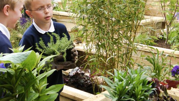 Top Tips for Gardening with Children at School