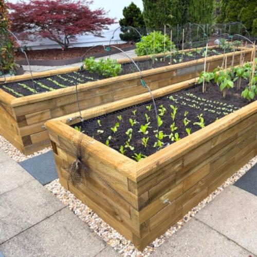 Antonio & Lorena’s raised vegetable garden