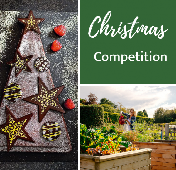 Christmas competition | WIN WoodBlocX and more