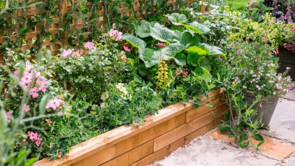 14 Raised garden border ideas using WoodBlocX