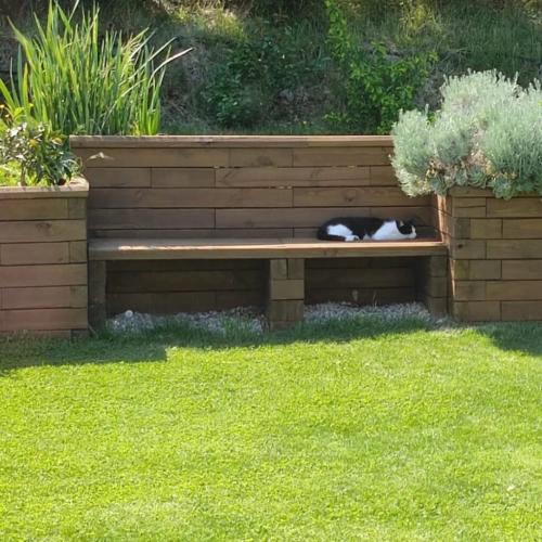 Mathieu's retaining garden wall