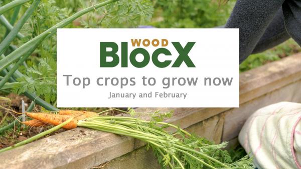Top crops to grow now
