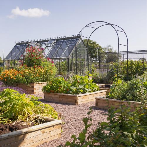 Steve's Raised Bed Kitchen Garden