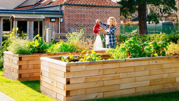 The benefits of raised beds