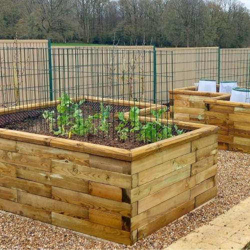 Laure's raised vegetable beds