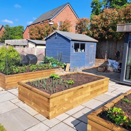 Ian's raised bed vegetable garden