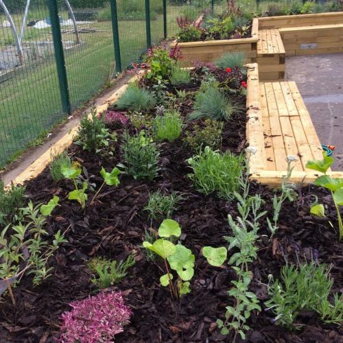 Woodlands Academy raised planters