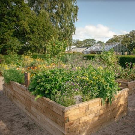 Raised Beds vs Planters: What’s the Difference?