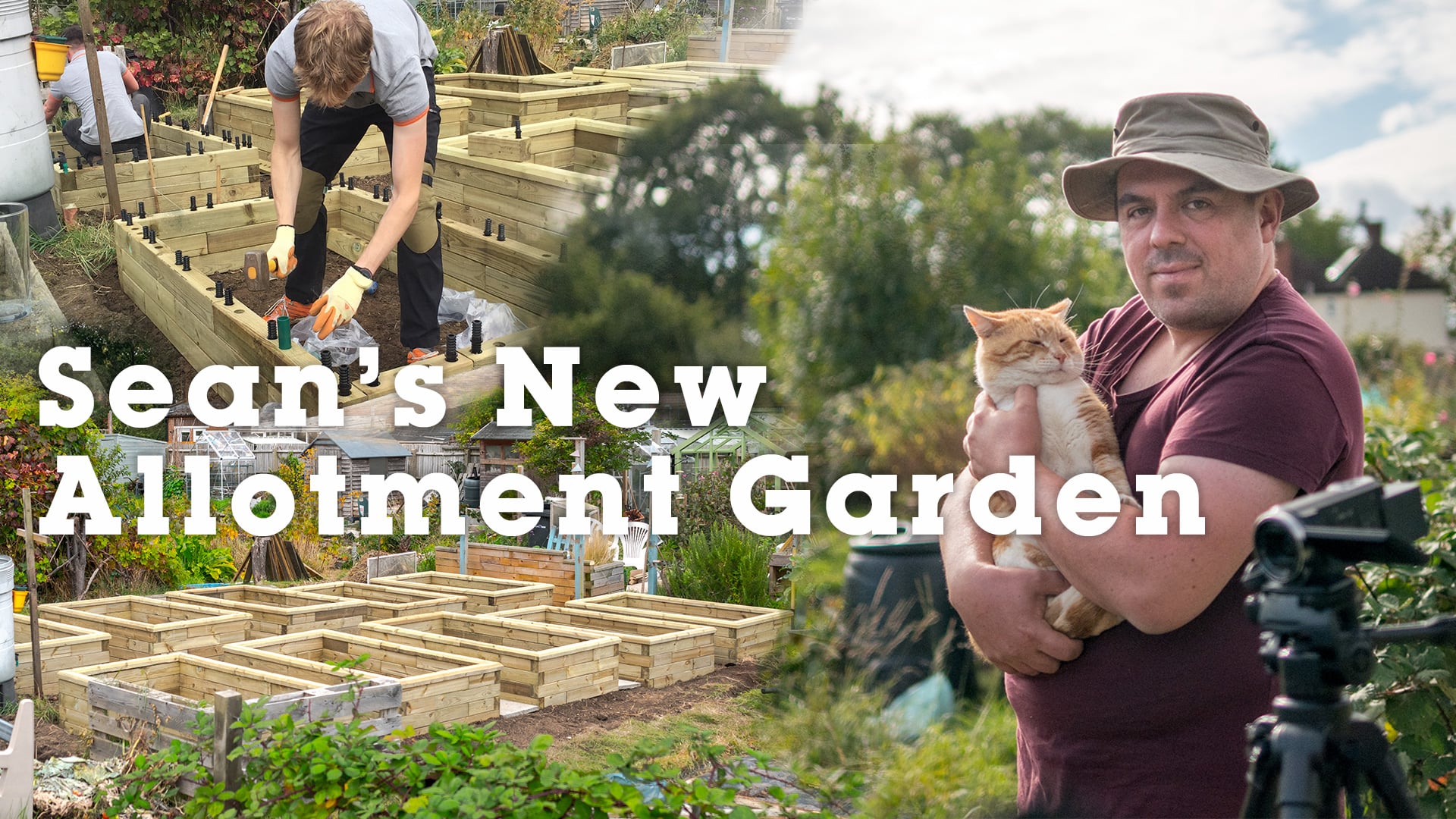 Seans Allotment Garden - WoodBlocX
