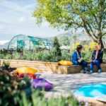 The new Health and Wellbeing Garden at RHS Malvern