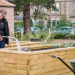 Watering: get the basics right