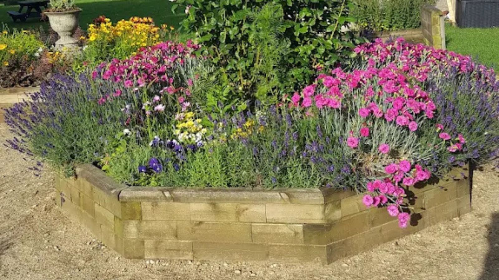 Filton raised bed flowers