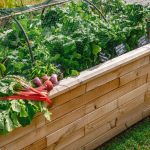 Healthy Gardening
