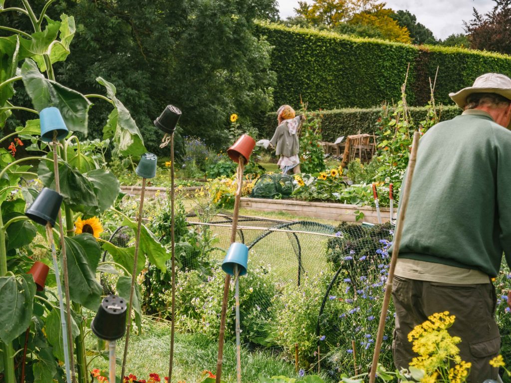 Royal Botanic Gardens Edinburgh Edible Gardening Project