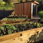 WoodBlocX - Featured on ITV, BBC 1 and BBC 2