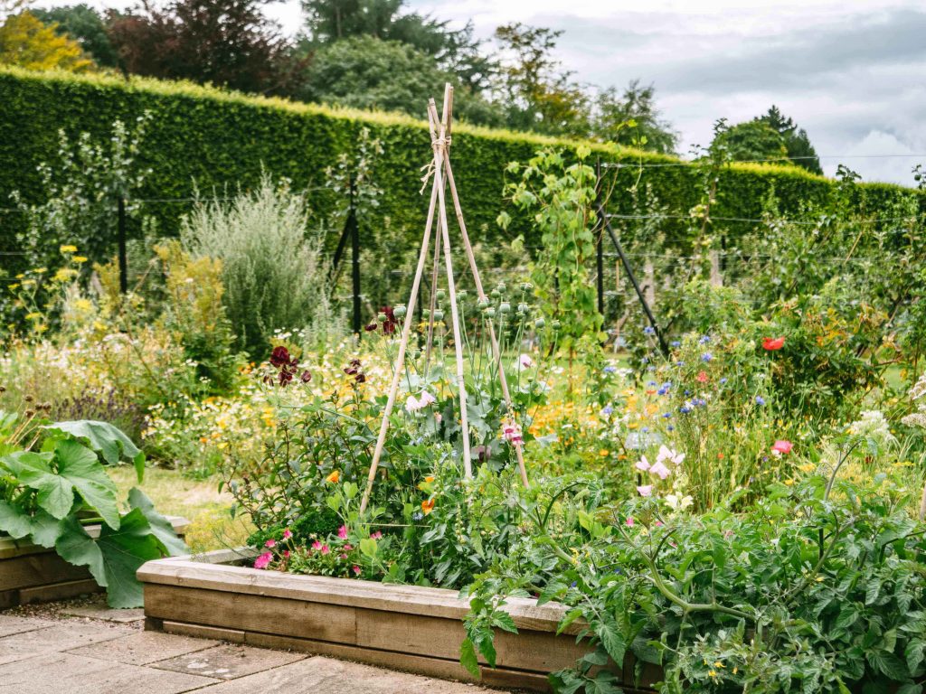 Detox your garden in 2019