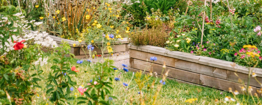 silver WoodBlocX raised beds silver WoodBlocX raised beds