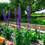 Use WoodBlocX for edging, borders and bases