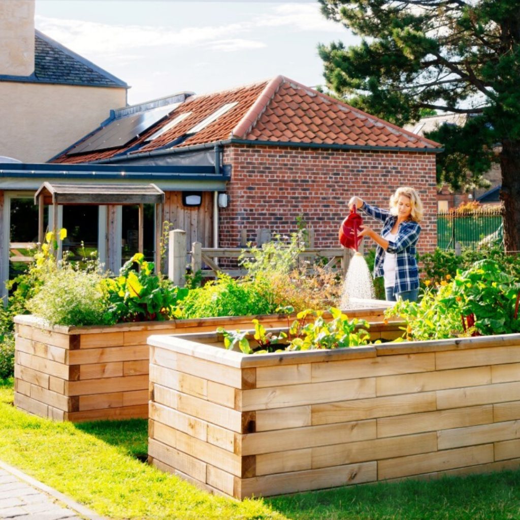 The benefits of raised beds