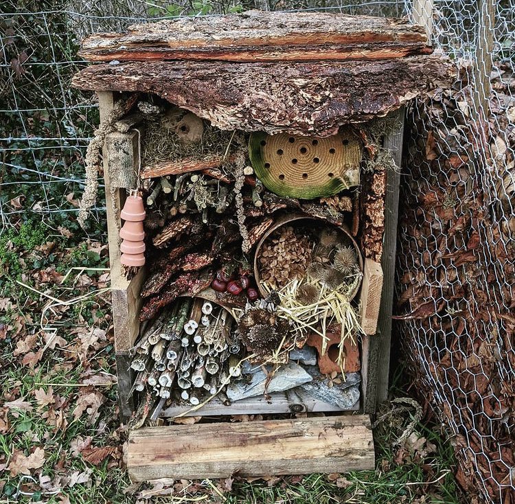 Lockdown garden activities for kids - Build an insect hotel