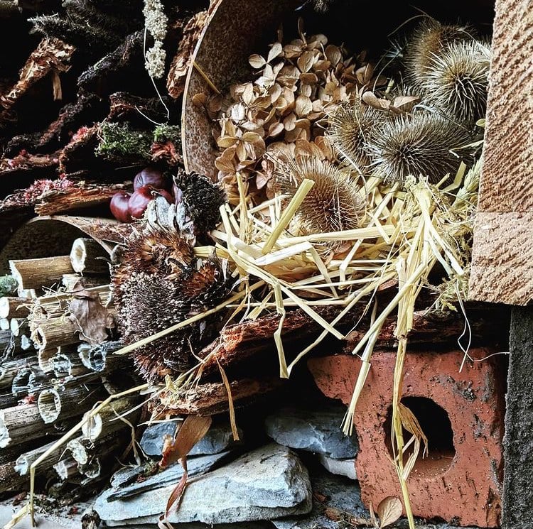 Lockdown garden activities for kids - Build an insect hotel