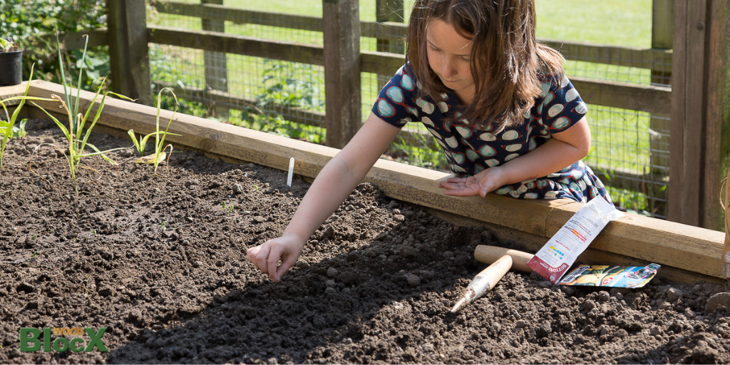 Lockdown garden activities for kids