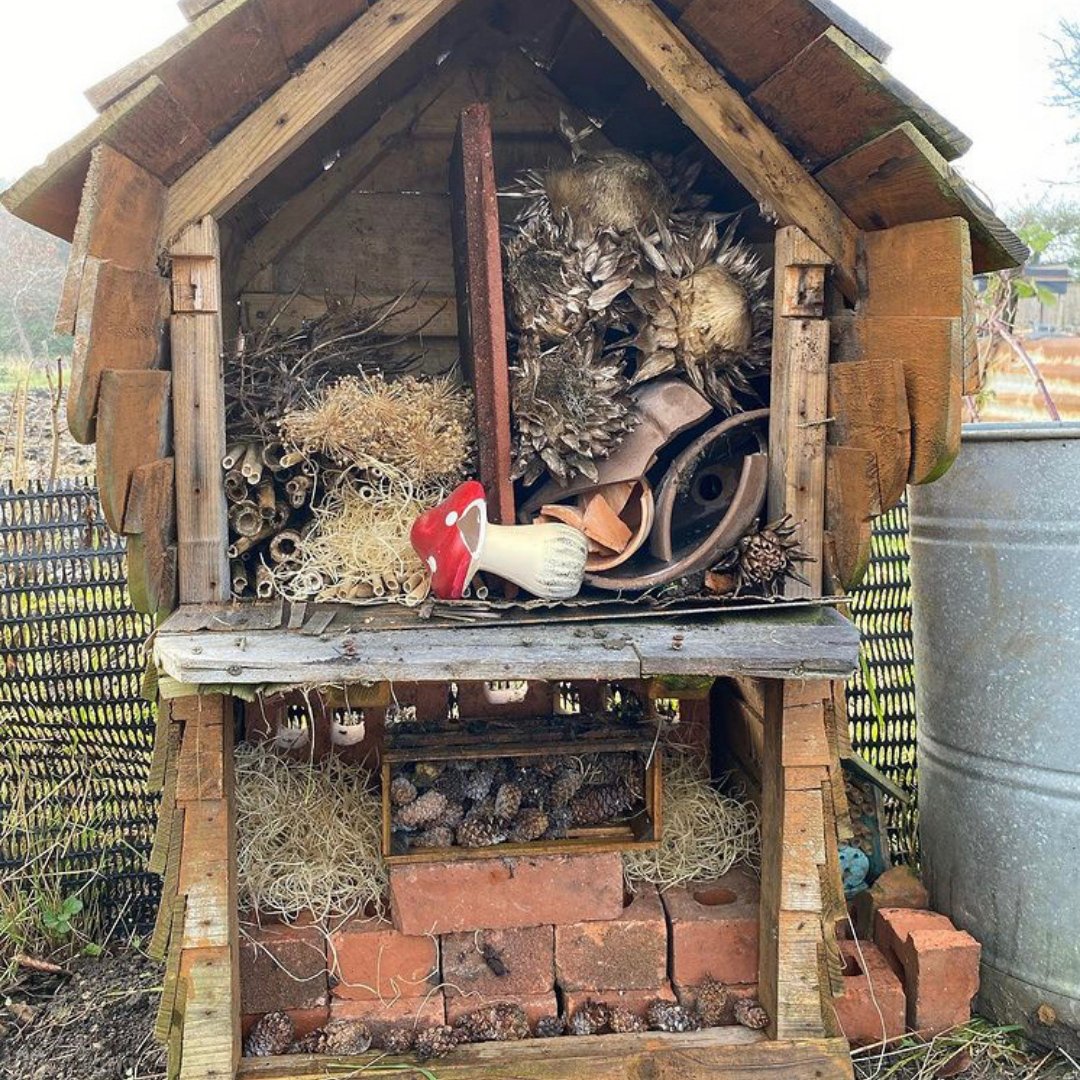 Lockdown garden activities for kids -Build an insect hotel