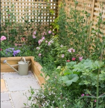 Corner raised beds